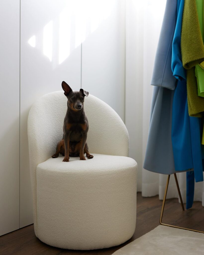 Colaborações | Influenciadora Vanessa Martins - Decoração Sala