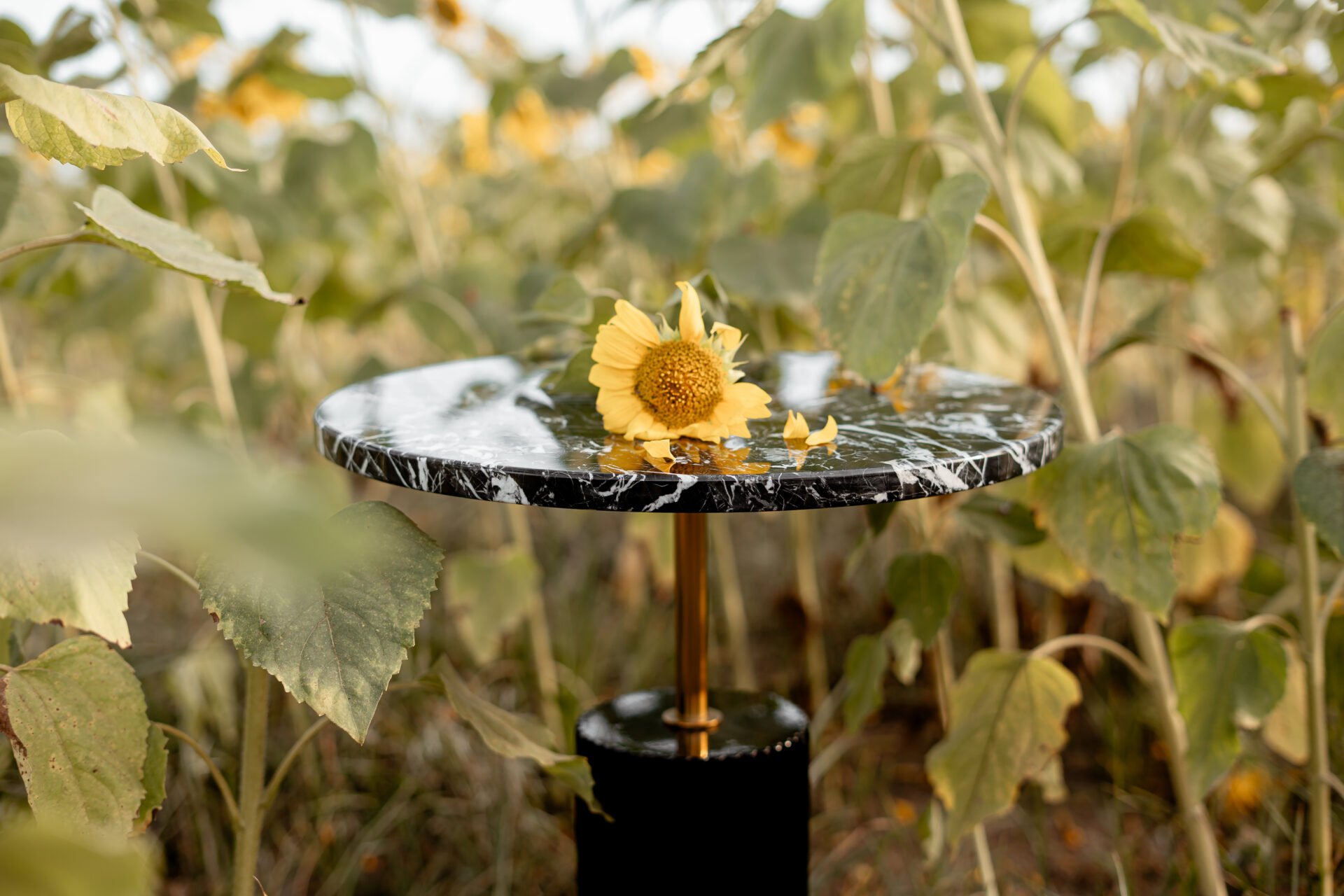 Dream Side Table | Interdesign