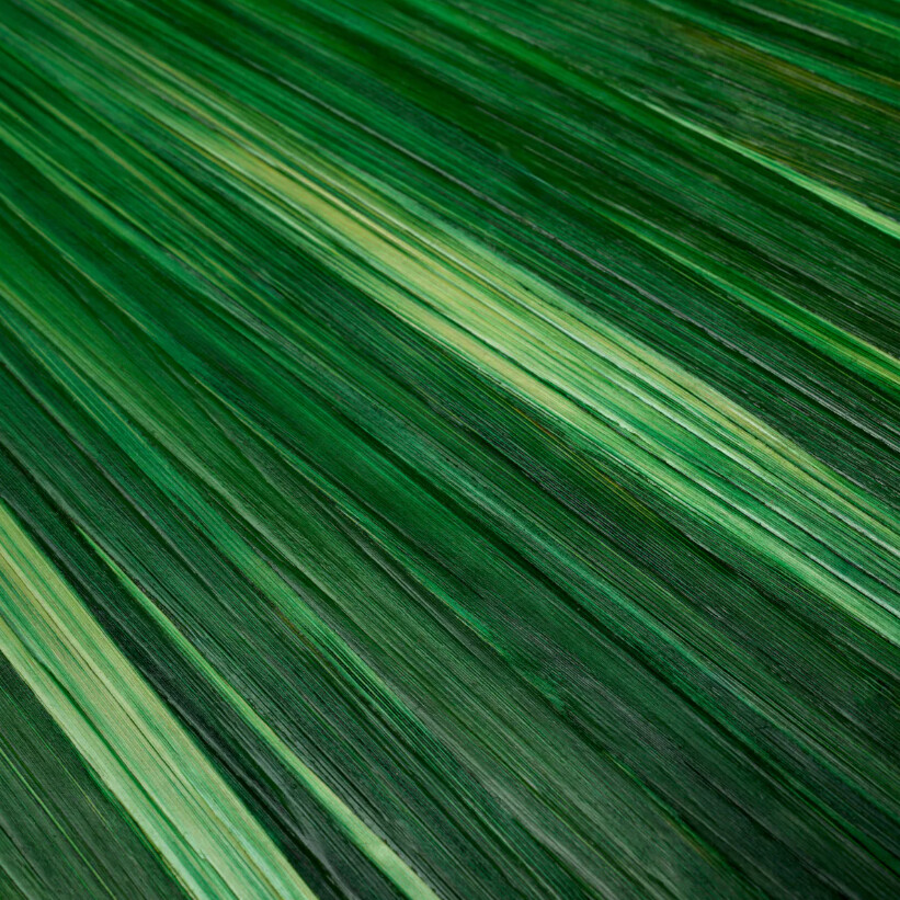 HARVARD Green Box | Interdesign