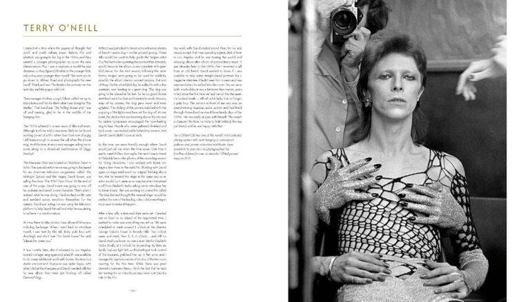 David Bowie: Icon | Interdesign