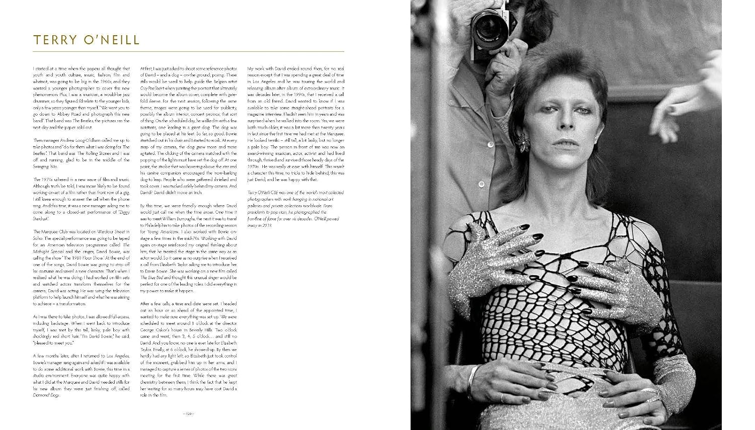 David Bowie: Icon | Interdesign