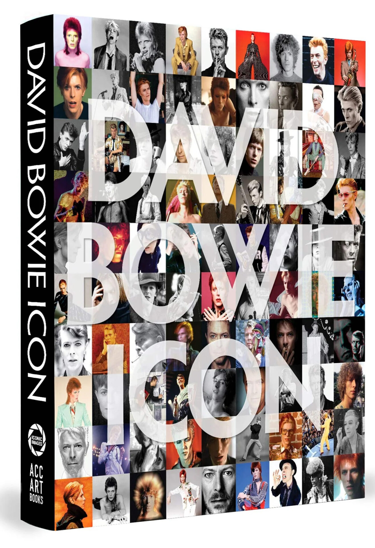 David Bowie: Icon | Interdesign